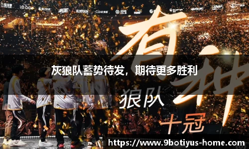 灰狼队蓄势待发，期待更多胜利